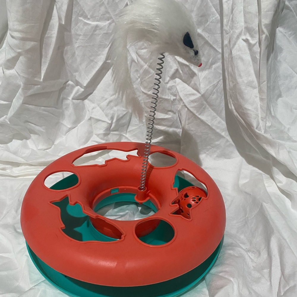 Cat toy